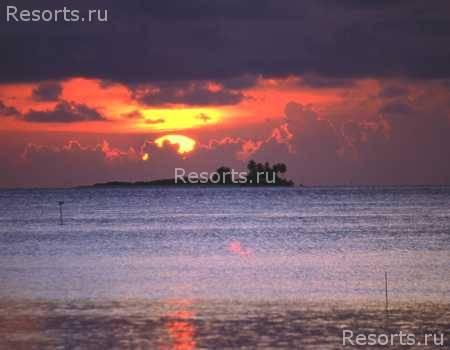 Filitheyo Island Resort 6